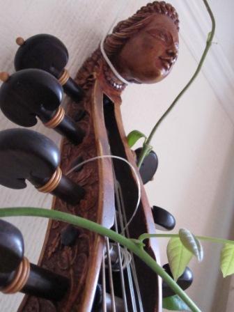 Head of viol