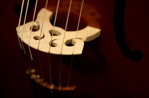 Viol bridge